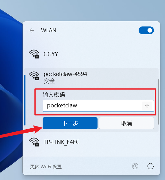WiFi Password